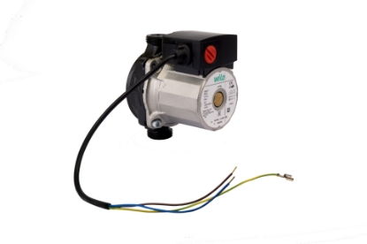 Show details for S. pomp HRE Picture of S. pomp HRE